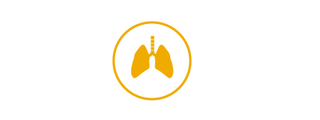 respiratornog-sistema-serbia-icon.png
