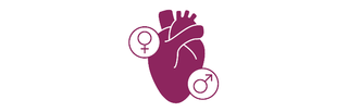 心的图标与男性和女性的象征