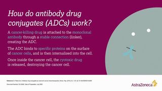 这张动画图像展示了抗体药物的三个部分如何结合在一起靶向癌细胞并导致细胞死亡。